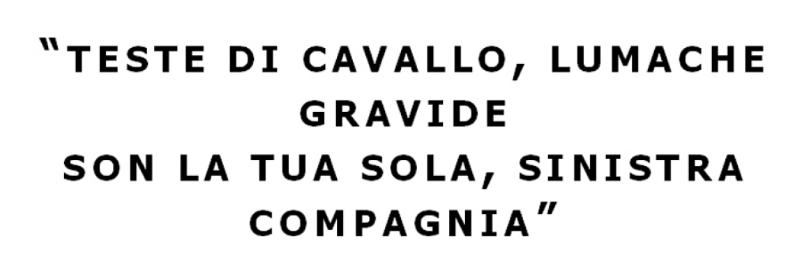 frase magliette frase magliette